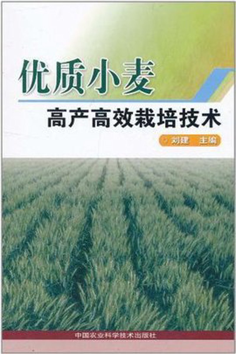 别墅装修:打造梦想中的家